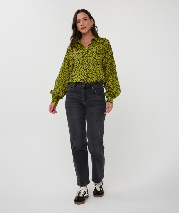 Jeans - Esqualo - F2512512