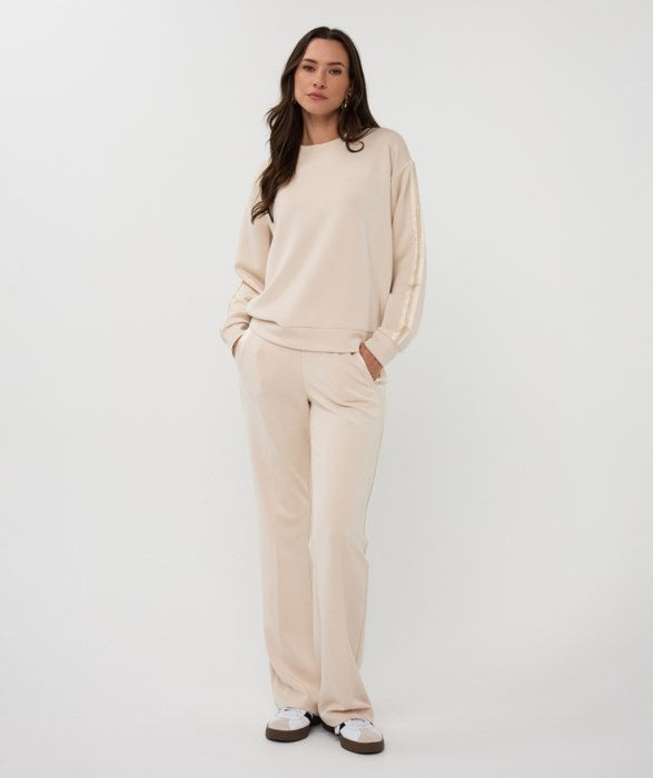 Haut - Esqualo - 2505504