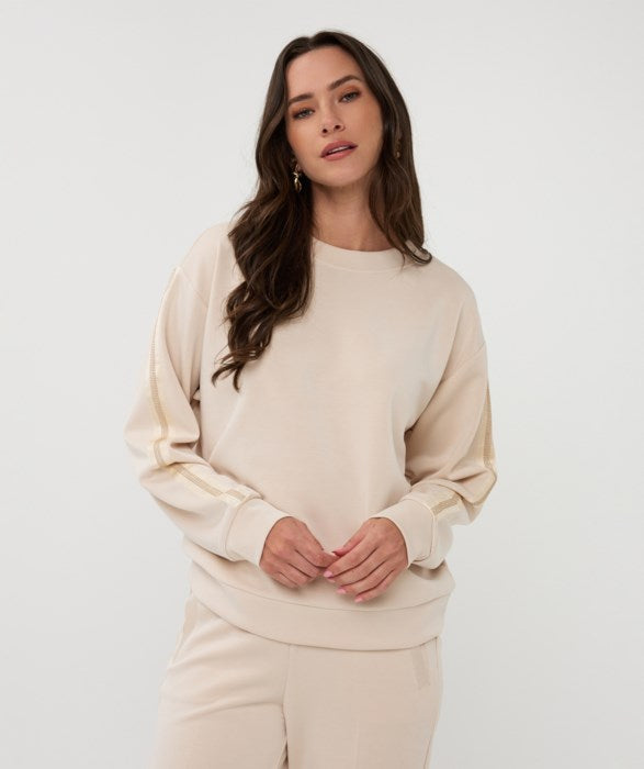 Haut - Esqualo - 2505504