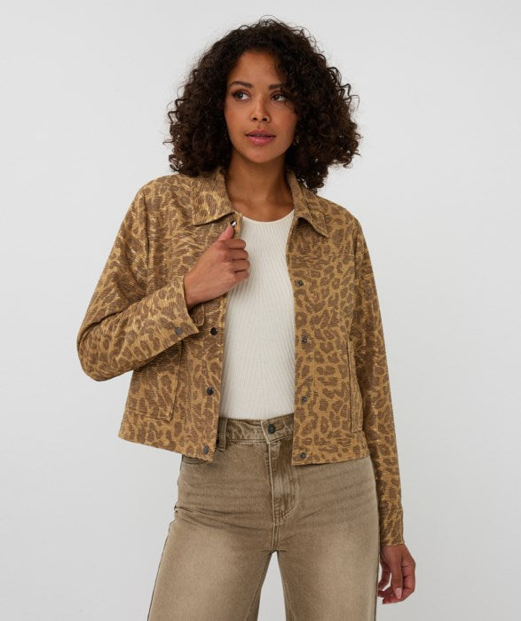 Jacket - Esqualo - F2519513