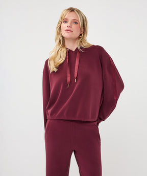 Haut - Esqualo - F2605509