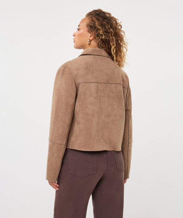 Jacket - Esqualo - F2611501