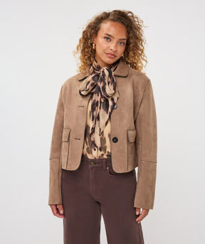 Jacket - Esqualo - F2611501