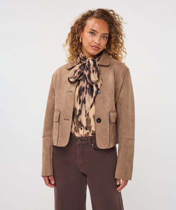 Jacket - Esqualo - F2611501