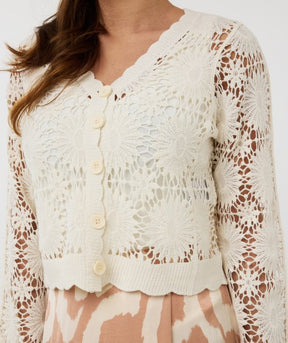 Cardigan - Esqualo - Hs2518204