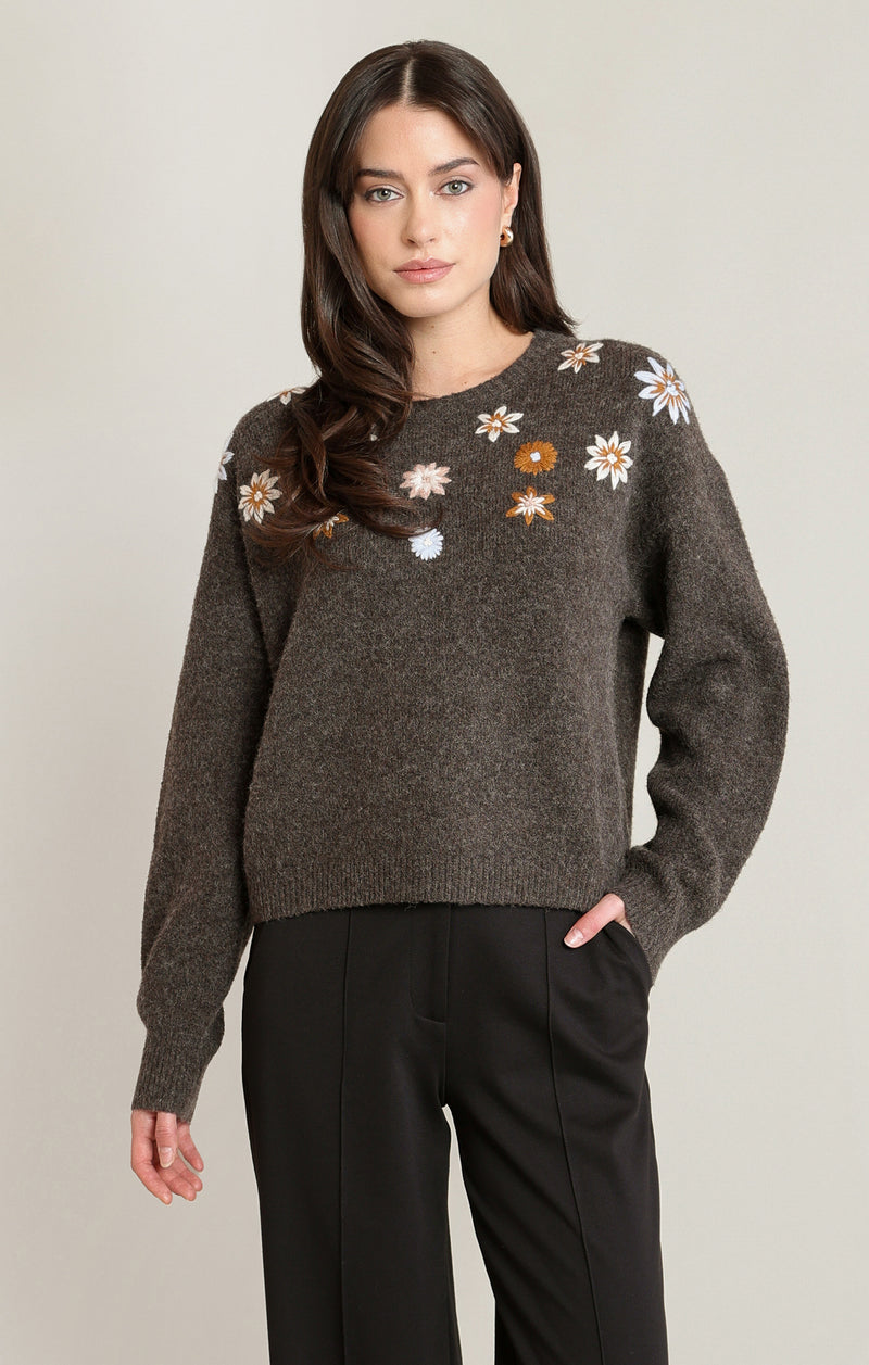 Haut - Dex - 2827011