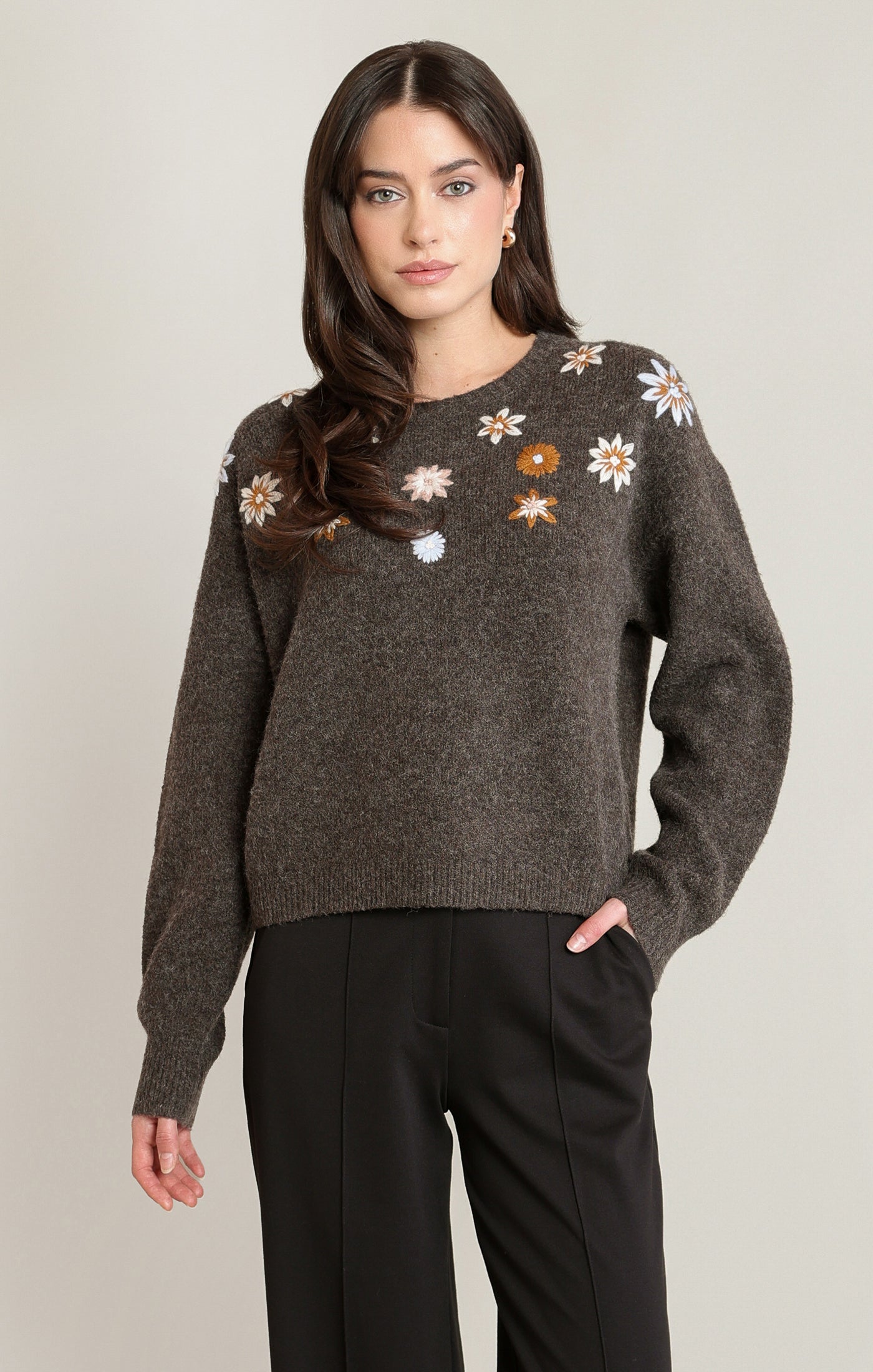Haut - Dex - 2827011